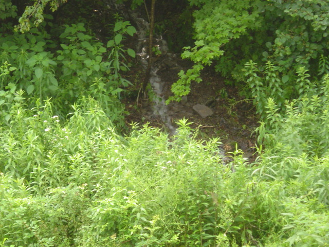 the hill in our backyard