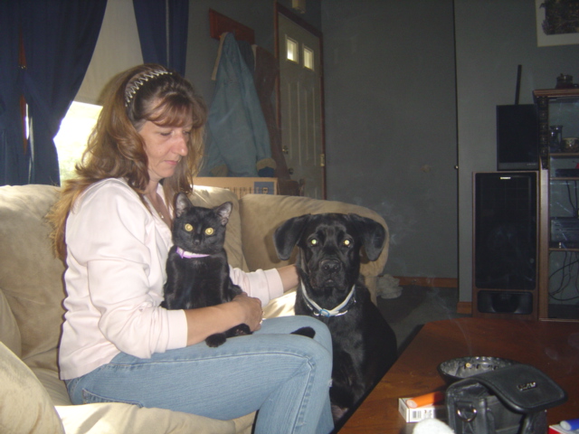 June 2006