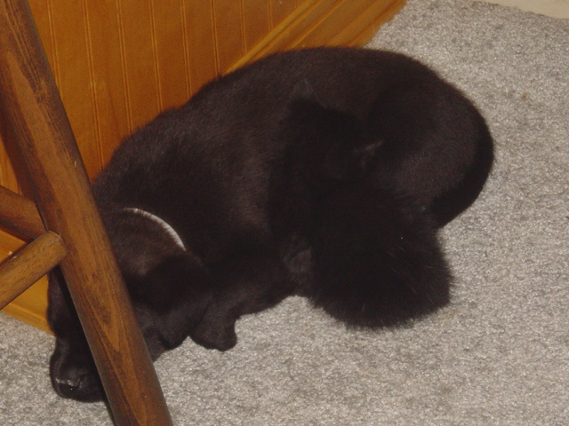 the kids sleeping